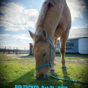 Meet your Posher, Santanna